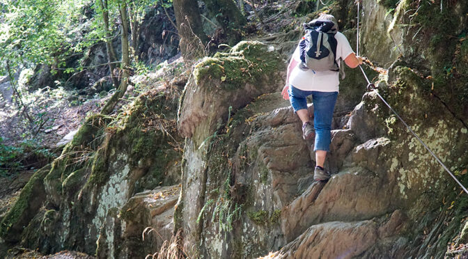 Traumschleife Baybachklamm