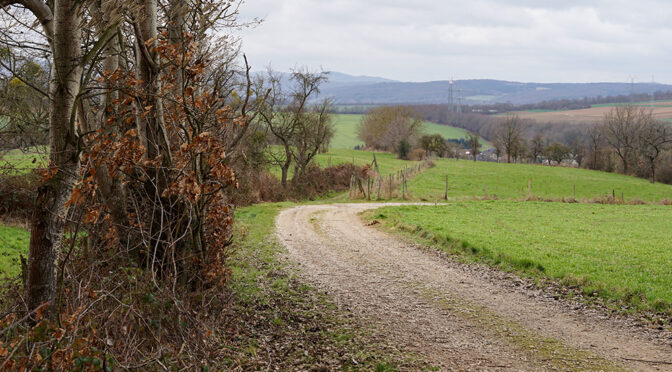 Kurze Runde – ohne Hunde