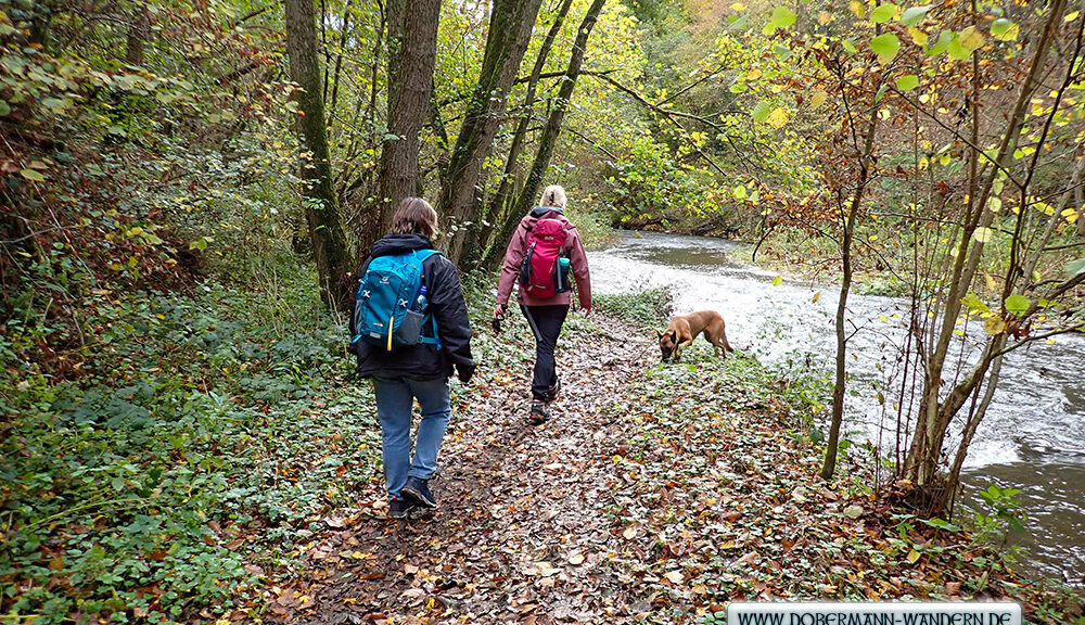 Dritte Wanderung auf dem Traumpfad Pyrmonter Felsensteig