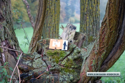 R Pl 3 – zwischen Rauschermühle und Ruine Wernerseck