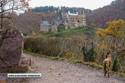 Traumpfad Eltzer Burgpanorama – reloaded