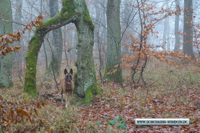 Traumpfad Vier-Berge-Tour – reloaded