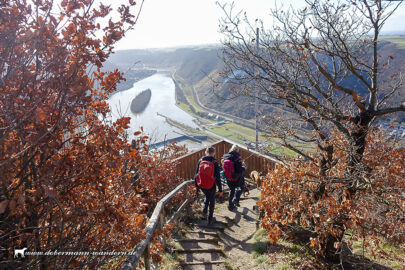 Traumpfad Schwalberstieg – 2026