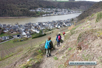 Traumpfad Bleidenberger Ausblicke – reloaded