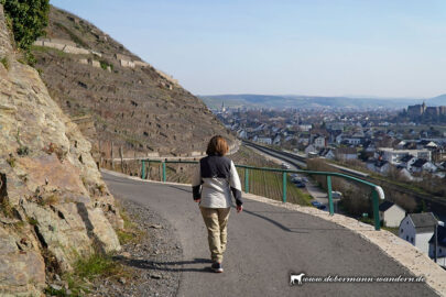 Kleine Walporzheimer Runde im März 2026
