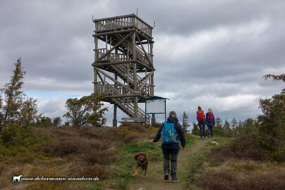 Geopfad-Route V bei Königsfeld [2026]