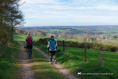 Zwischen St. Michael und Decke Tönnes – reloaded