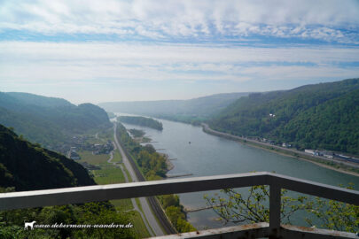 Zwischen Rheinbrohler Ley und Burgruine Hammerstein – reloaded