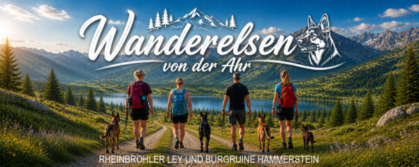 Zwischen Rheinbrohler Ley und Burgruine Hammerstein